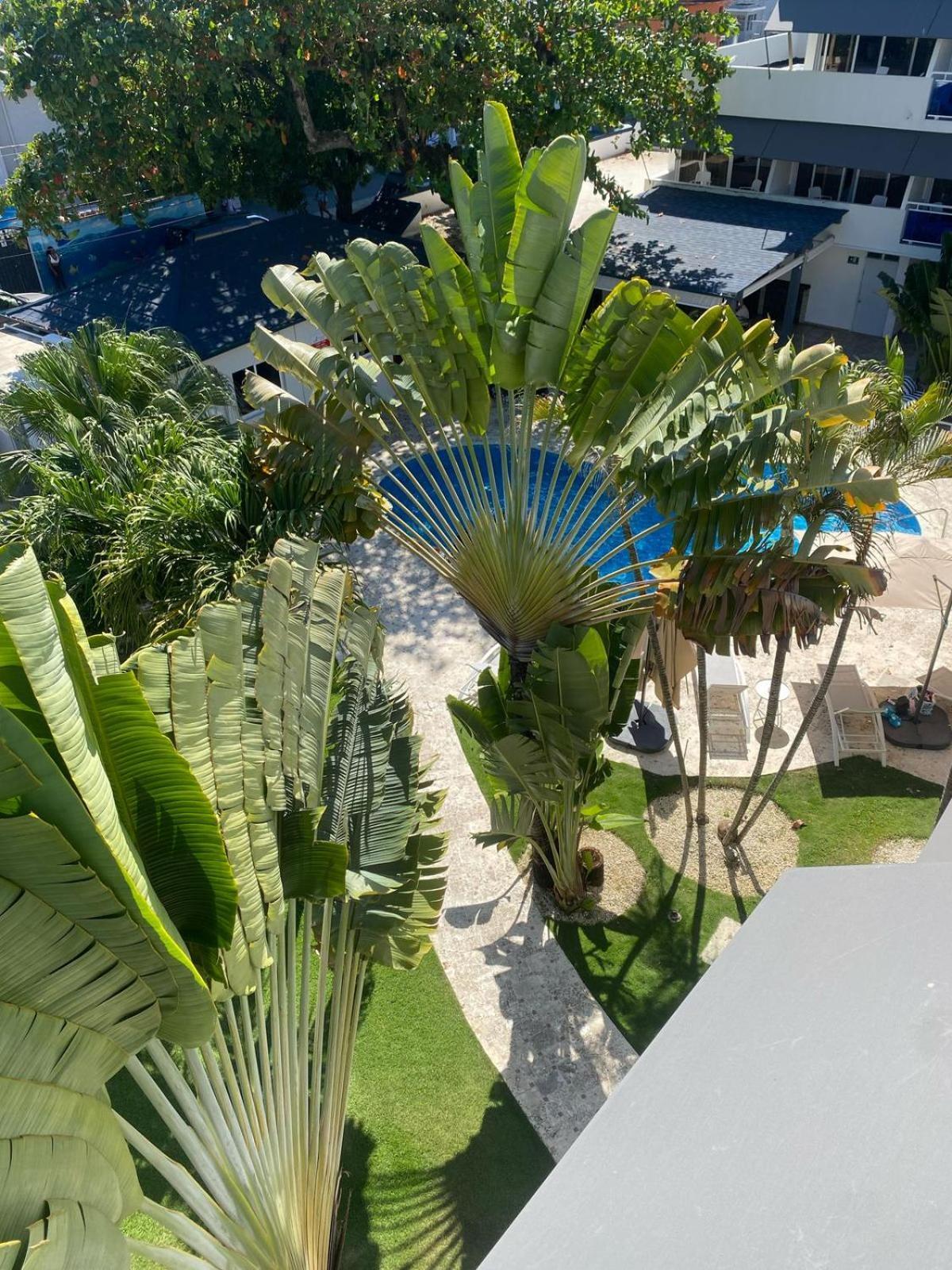 New Garden Hotel Sosúa Εξωτερικό φωτογραφία